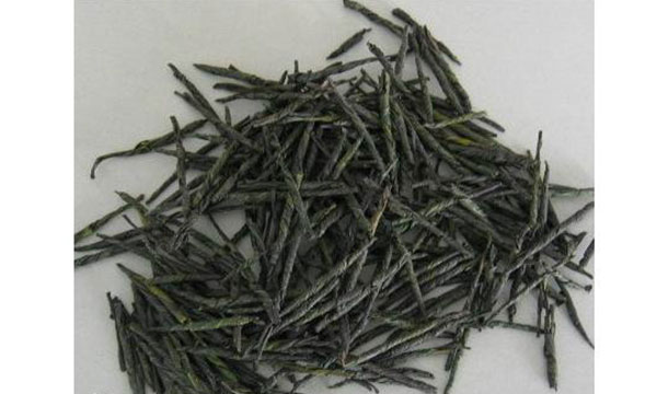 苦丁茶的功效與作用，苦丁茶的功效，苦丁茶的作用