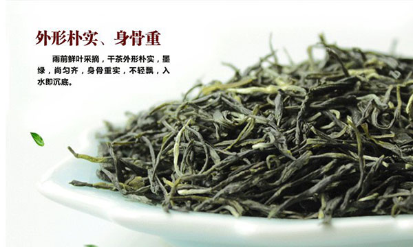 信陽毛尖有哪些功效？