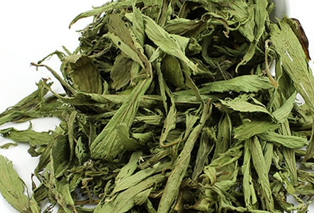 甜菊葉茶的功效與作用是什么？