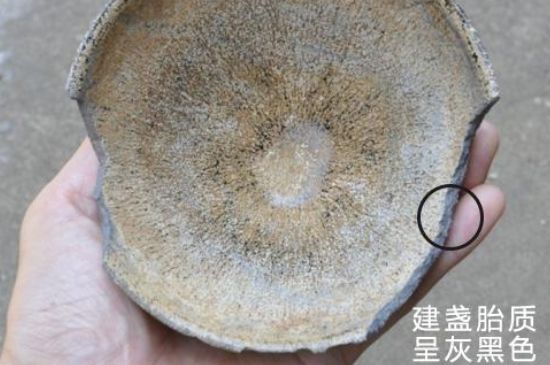 假建盞的特點，真假建盞區分帶圖