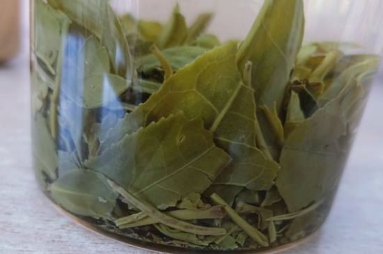 綠茶陳茶和新茶區別，綠茶怎樣區分新茶和陳茶