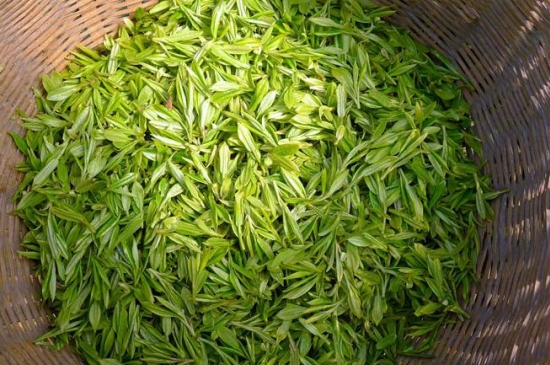 烏牛早和龍井的區別圖片，龍井43號和烏牛早茶的對比
