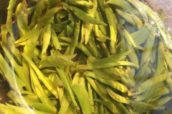 龍井是明前的好還是雨前的好，明前茶和雨前茶哪個(gè)好喝？