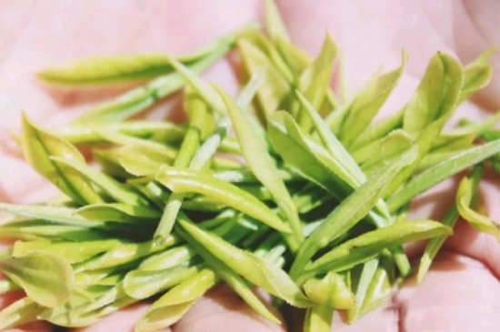 龍井是明前的好還是雨前的好，明前茶和雨前茶哪個(gè)好喝？