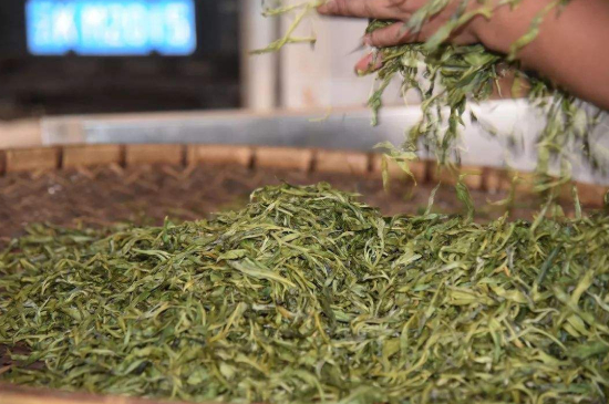 炒青綠茶與綠茶的區(qū)別，烘青和炒青哪個(gè)好喝？