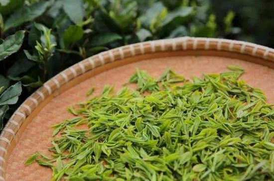 炒青綠茶與綠茶的區(qū)別，烘青和炒青哪個(gè)好喝？
