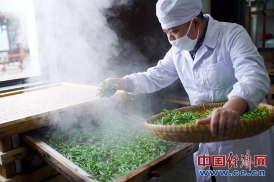 炒青綠茶與綠茶的區(qū)別，烘青和炒青哪個(gè)好喝？
