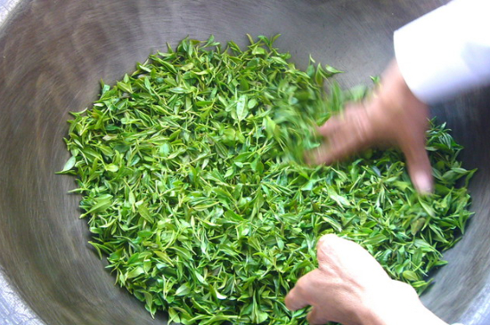 綠茶加工工藝流程圖，綠茶的加工制作包含哪幾個步驟？