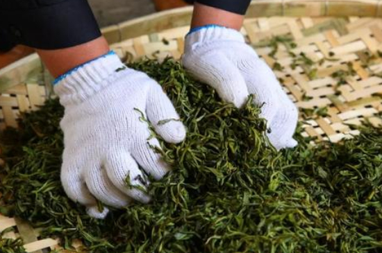 綠茶加工工藝流程圖，綠茶的加工制作包含哪幾個步驟？