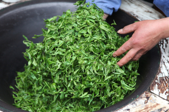 潮汕炒茶屬于什么茶，潮汕炒茶是綠茶嗎？