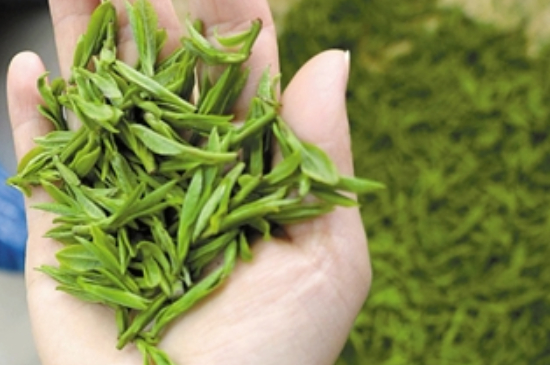 潮汕炒茶屬于什么茶，潮汕炒茶是綠茶嗎？