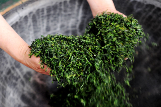 潮汕炒茶屬于什么茶，潮汕炒茶是綠茶嗎？