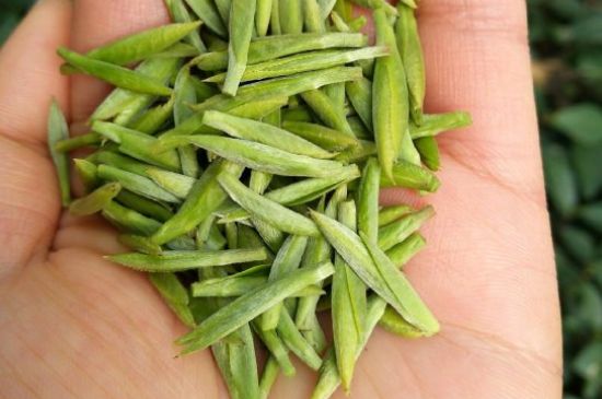 什么綠茶味道濃香，那個綠茶比較濃香？