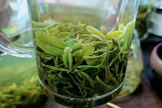 什么綠茶味道濃香，那個綠茶比較濃香？