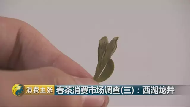 龍井群體種和43號的區別圖片，龍井43和群體種哪個好喝？
