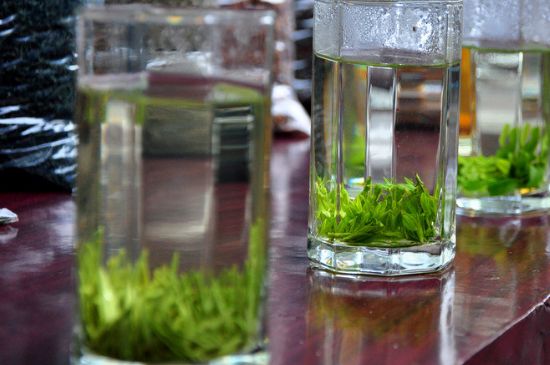 綠茶放了三年還能喝嗎，綠茶放久了喝了會(huì)怎樣