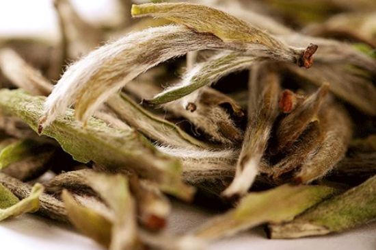 荒野銀針有什么特點(diǎn)，荒野銀針的味道口感咋樣？