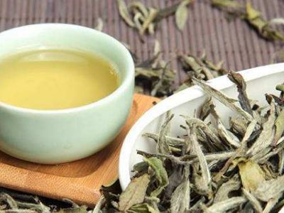 大紅袍好還是白茶好，福鼎白茶和大紅袍哪個貴？
