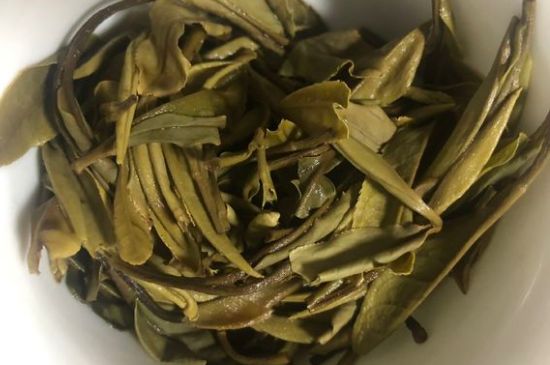 三年白茶賽砒霜，這是真的嗎？