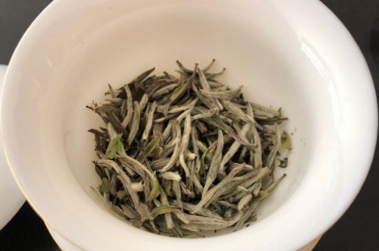 春茶上市白茶的好壞怎么區(qū)分，春白茶怎么分辨好不好？