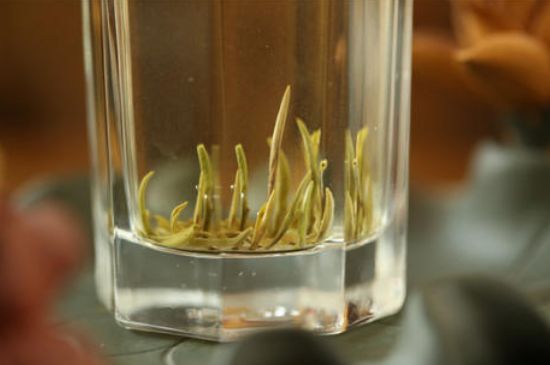 踏雪蘭妃是什么茶，踏雪蘭妃是哪里的茶葉?