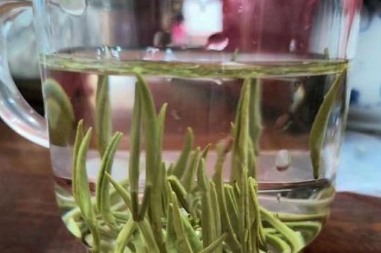 踏雪蘭妃是什么茶，踏雪蘭妃是哪里的茶葉?