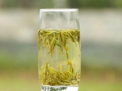 霍山黃芽算是好茶嗎，霍山黃芽屬于什么茶？