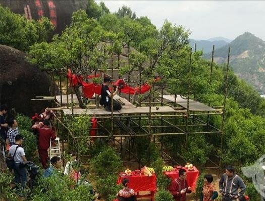 宋種一號價值為什么高，鳳凰單樅宋種1號價格與產(chǎn)量多少？