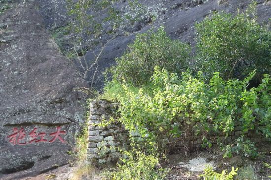 母樹大紅袍給誰喝了，為什么母樹大紅袍叫三棵六株？