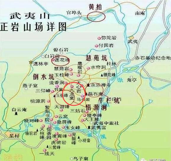 母樹大紅袍給誰喝了，為什么母樹大紅袍叫三棵六株？