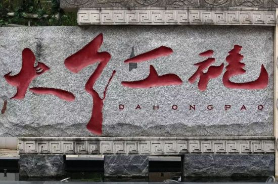 母樹大紅袍給誰喝了，為什么母樹大紅袍叫三棵六株？