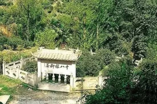 母樹大紅袍給誰喝了，為什么母樹大紅袍叫三棵六株？