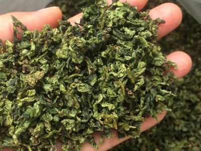 鐵觀音毛茶茶梗可以泡水喝嗎，鐵觀音帶梗是不是好茶？