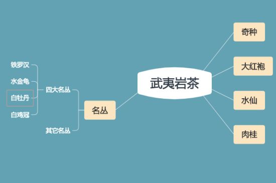 武夷巖茶品種大全，巖茶有幾種？