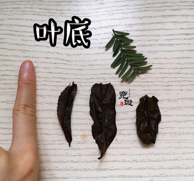 正山小種很細還很黑亮，正山小種越細越好嗎