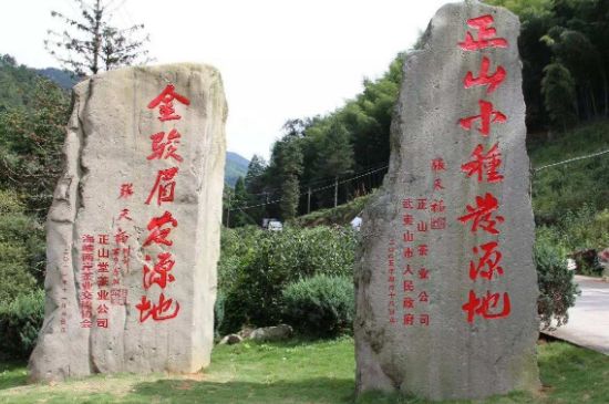 300塊錢的金駿眉能喝嗎，兩三百多金駿眉和一千多區別