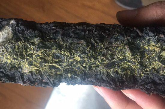 怎么知道涇渭茯茶是否變質，茯磚茶金花和發霉的區別