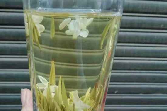 茉莉茶能天天喝嗎，茉莉花茶一周喝幾次