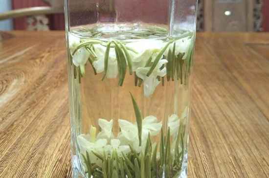 女孩喝茉莉茶的好處，茉莉茶葉的功效與禁忌
