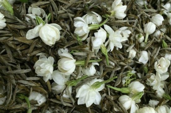 茉莉銀針口感，茉莉銀針是什么味道？