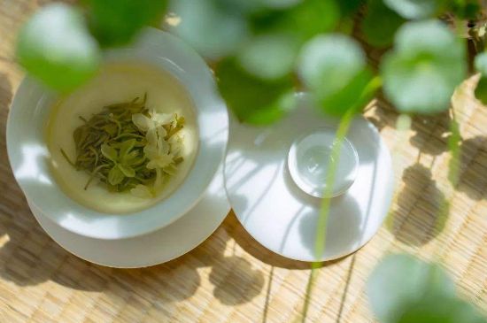 茉莉花茶6種人不要喝，什么體質不適合喝茉莉花茶？