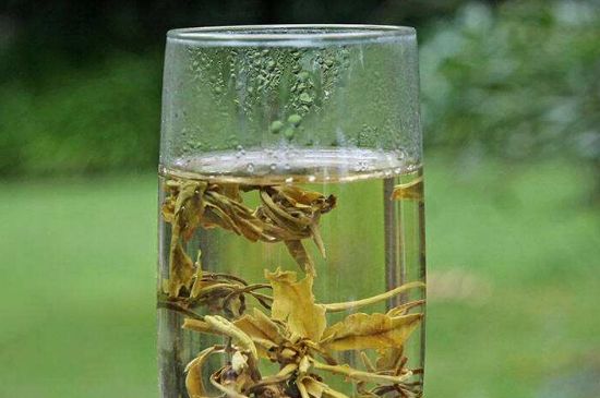 茉莉龍珠什么人不能喝，茉莉龍珠茶什么體質不能喝？