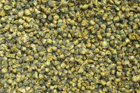 菊花茶大朵小朵有什么區(qū)別，菊花喝大朵還是小朵？