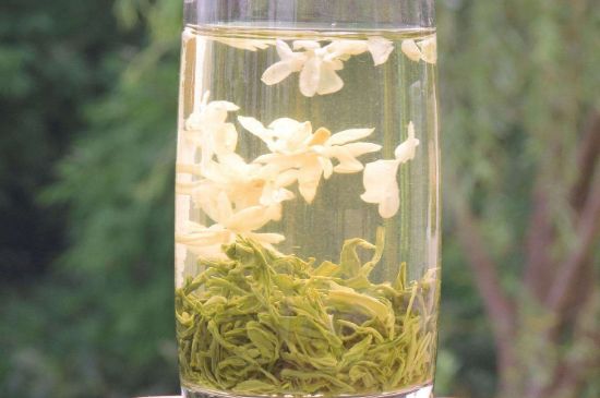 茉莉龍珠可以和什么一起泡茶，茉莉龍珠茶能加蜂蜜嗎？