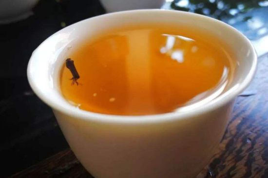 送茶葉的寓意，茶的象征意義