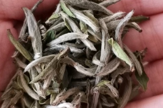 如何買茶葉不上當，怎么買茶葉不被坑？