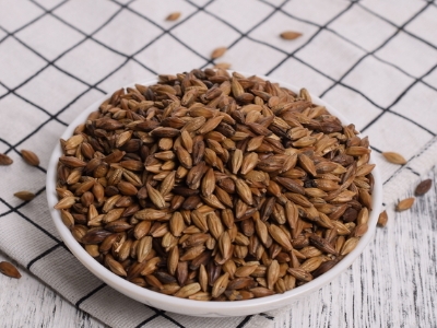 圓形顆粒狀茶是什么茶，像飼料一樣一粒粒的是什么茶？