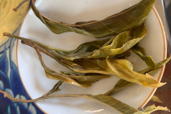 普洱茶十大學費茶排名，吉普H是學費茶？