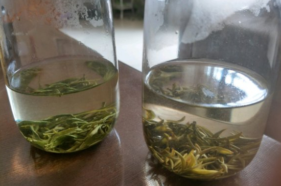 真假碧螺春泡水后區別，蘇州洞庭碧螺春怎樣鑒別好壞？