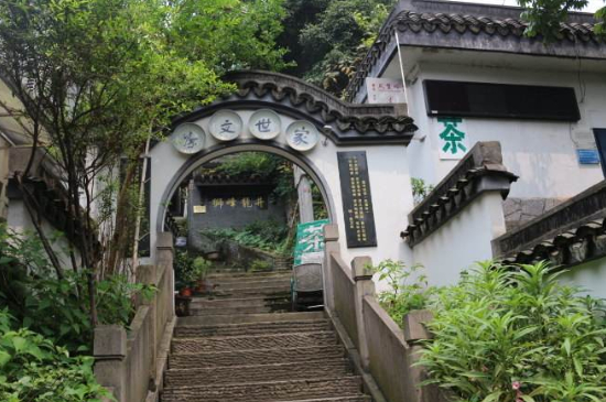杭州龍井村買茶騙術，西湖龍井茶托騙局揭秘！